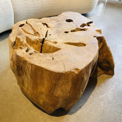 CouchtischBeistelltischHolzMetallWurzelGlasMoebelSofasWohnbereichCasaambienteBochum